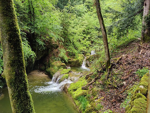 Schlucht